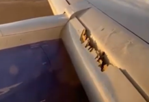 Breaking News: United Airlines Flight’s Terrifying Ordeal with Wing Damage!