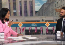 Zohran Mamdani’s Radical Blueprint: Misdemeanors, Prostitution, and a Socialist Vision for New York City