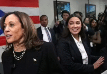 Watch: Mollie Hemingway Drops Big Truths About the Democrat Party’s New Base