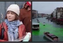 Climate Clown Greta Strikes Again: Venice Turns Green in Her Latest Disaster