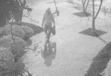 Check It Out: The J6 Pipe Bomber, My Little Pony, and the FBI’s Five-Year Failure