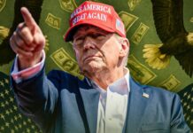 Tariffs Cost $1,000? Not the Whole Story