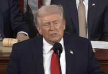 Trump Declares War on Fraud, Names JD Vance