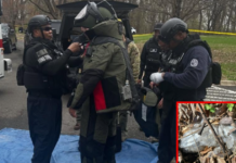 Explosive Devices Located in Fort Washington Park