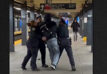 Bronx Subway Clip Lays Bare NYPD Missteps