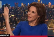 MSNOW Panel Praises Iran, Derides Trump