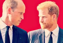 William Adopts a No-Nonsense Stance Toward Harry