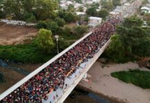 Judge Nixes Trump’s Bid to Suspend Green Card Issuance