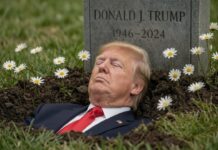 Mark Hamill Faces Criticism Over Disturbing Post That Seemed to Wish Trump Dead