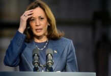Democrats demand the ouster of the DNC chair after a disastrous election meltdown