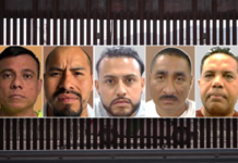 ICE: Roughly 7 in 10 Arrested Had Criminal Histories, Some Were Convicted Killers