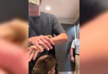 Call to Police Over Dad Aiding His Young Daughters in Women’s Restroom Leads to Man’s Firing After Viral Backlash
