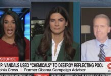 Scott Jennings Dubs Reflecting Pool Vandals Broken-Brained While CNN Commentator Savages Trump