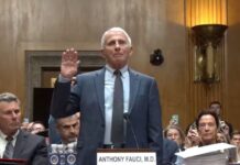 Fauci Invokes Fifth Amendment During Senate COVID Hearing