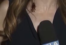 Live Los Angeles Report Interrupted by Massive Flying Cockroach Crawling Up KTLA Reporter
