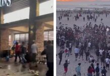 Footage Shows Non-Residents Fighting and Looting Newport Beach Grocery Amid July 4 Mayhem