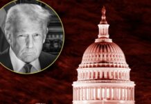 Why Trump May Have “Gone Easy” on the Deep State, According to a 50-Year Washington Insider