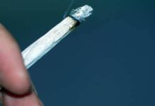 Why Cannabis-Related “Scromiting” Is Sending More Young Users to the ER