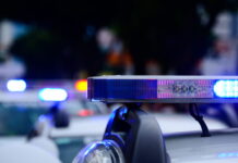 Five Albany Officers Face Arrest and Firing Over Alleged Misuse of Flock Cameras