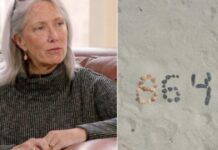 Prosecutors Probe Missing Text Before Patrice Comey’s ‘86 47’ Seashell Post