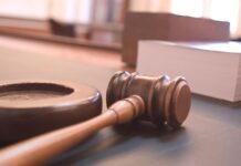 Courtroom Sketch of Pennsylvania Man Accused in ISIS Plot Resembles Scooby-Doo Characters
