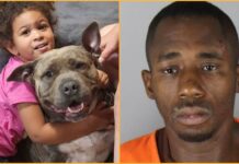 Her Pit Bull Shielded Maria Grant’s Sleeping Children From a Hammer Attack Suspect