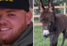 Report Identifies Georgia Officer Who Shot a Baby Donkey and Explains Why