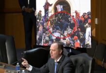 Adam Schiff Accidentally Shows Image Depicting Rosanne Boyland’s Death at Senate Hearing