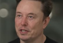 Elon Musk Warns a Democratic Sweep Could Bring Severe Consequences for the U.S.