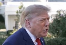 Trump Labels CNN’s Kaitlan Collins a Low-IQ Dummy in Dispute Over Hubbard Release